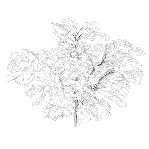 白い背景に多くの葉が隔離されたワイヤーフレームツリー。3Dだ。ベクターイラスト — ストックベクタ
