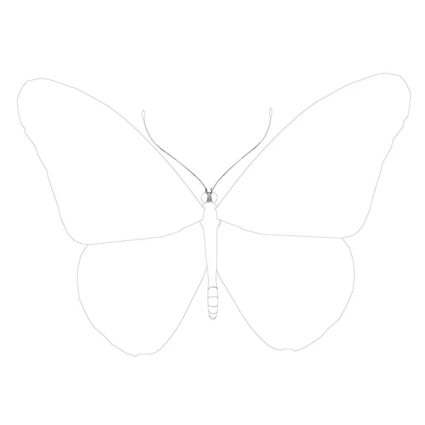 El contorno de la mariposa de las líneas negras aisladas sobre el fondo blanco. Ilustración vectorial — Vector de stock