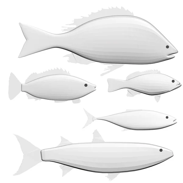 Set with polygonal diverse fishes isolated on a white background. 3D. Vector illustration — Stock Vector