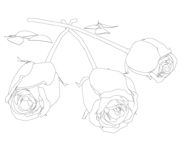 由三束玫瑰组成的花束在白色的背景上与黑色的线条相隔离。矢量说明 — 图库矢量图片