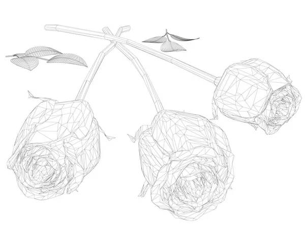 一束由三束玫瑰组成的线框，由白色背景隔离的黑线组成。3D 。矢量说明 — 图库矢量图片