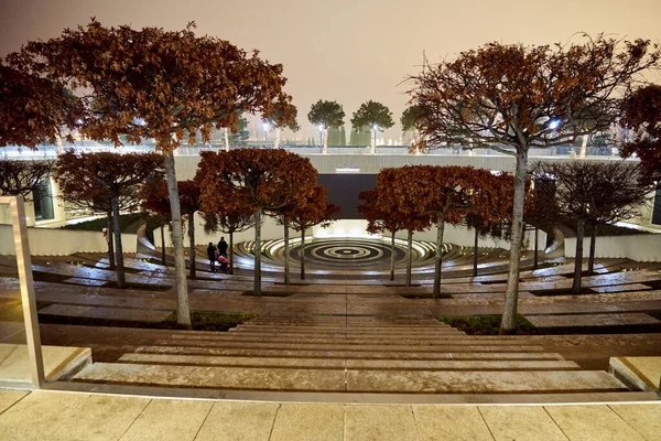 Geceleri parktaki ağaçlar