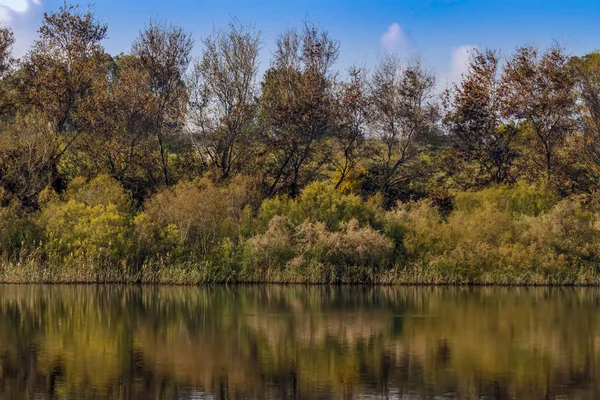 Çiçekli ağaçlar yumuşak su yüzey bulutlar ile mavi gökyüzü ile yatay yansıması
