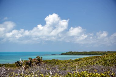 Cennet Adası Contoy.