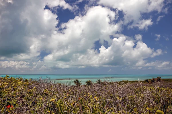 Zobrazit na tyrkysové vody Karibského moře — Stock fotografie