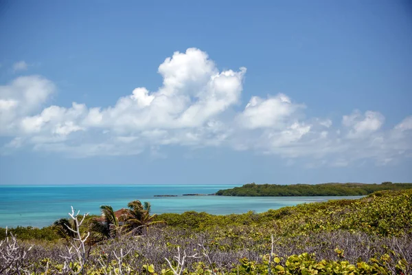 Cennet Adası Contoy.