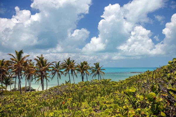 Cennet Contoy Adası. Turkuaz su görünümünü