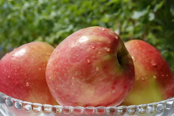 Reife rote Äpfel im Tau in einer Glasschale — Stockfoto