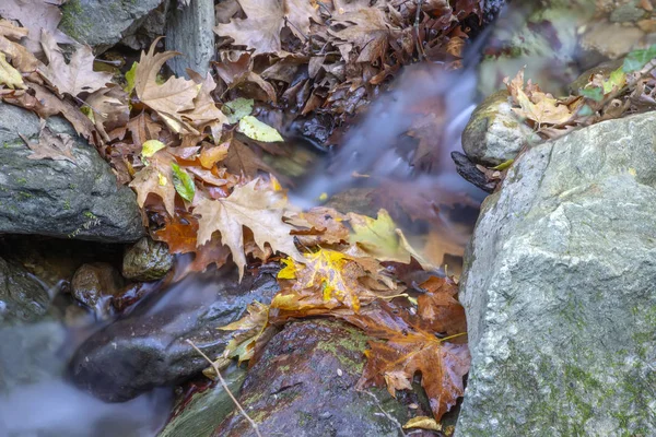 Ручей Находится Между Покрытыми Мхом Камнями Осенними Листьями Portaria Греция — стоковое фото