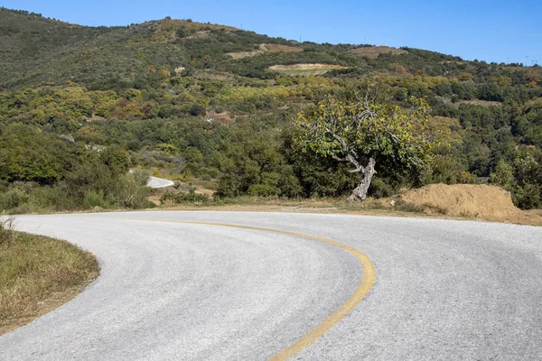 Estrada Rural Sinuosa Entre Colinas Verdes Cobertas Com Floresta Outono — Fotografia de Stock