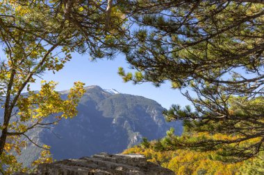Sonbahar yaprakları ağaçların dalları çerçevesinde Olimpos Dağı'nın Zirvesi karlı görünümünü