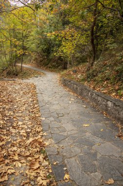 Taş döşeli patikalar kuru ile mayınları yeşillik ormanda düşer. Yunanistan