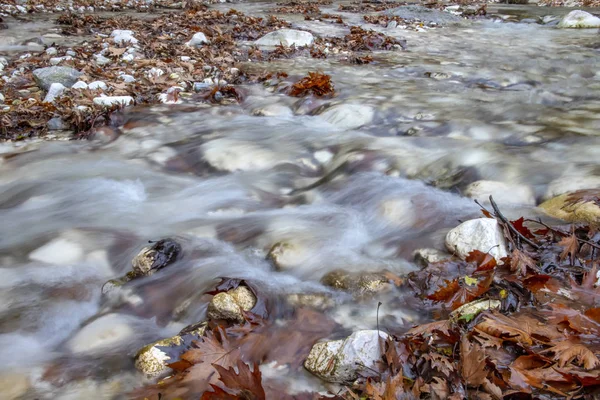 Горный Поток Текущий Между Камнями Встреченный Коричневыми Осенними Листьями Греции — стоковое фото