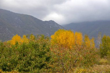 Bahçe içinde renkli sonbahar yeşillik zemin dağlar ve yağmur bulutları ile gökyüzü karşı çeşitli ağaçlar ile. Yunanistan