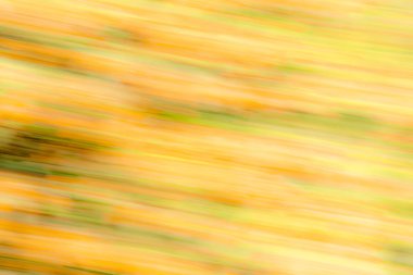 Çok renkli çizgili hareketi ile arka plan