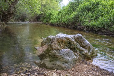 Yeşil yeşillik içinde taş ve ağaçlar arasında akan nehir
