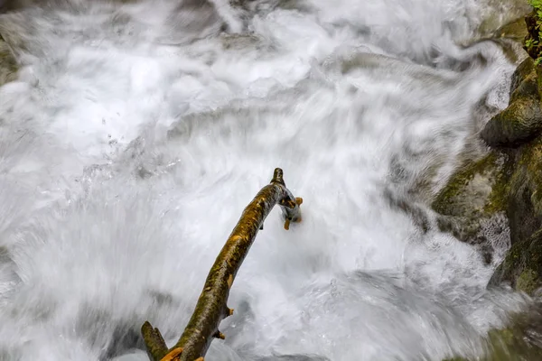 Небольшие каскады водопадов на горном ручье весной. Река Парод. Израиль — стоковое фото