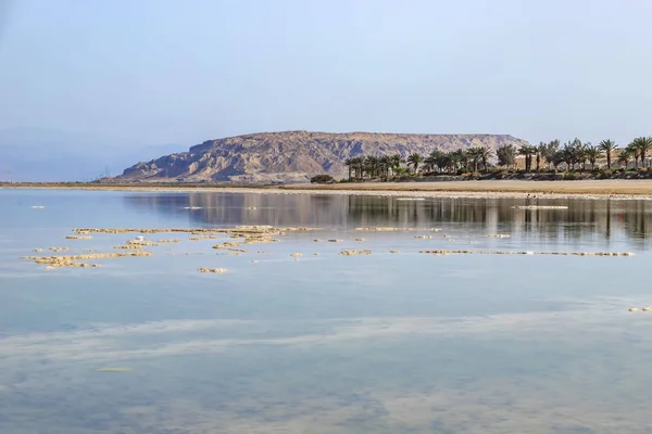 Віддзеркалення гір та пальм у солоній воді Мертвого моря — стокове фото