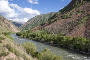 Nehir, bulutlu bir gökyüzüne karşı ufukta karla kaplı dağ zirveleri ile yeşil tepeler arasında akan