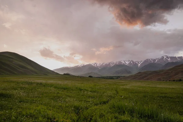 Sunset in the mountains of Tien Shan. Pastures on the background of snow-capped peaks of the mountain range. — Stock Photo, Image