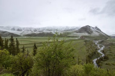 Ufukta karla kaplı dağlarla dolu yeşil bir vadiden akan nehir yatakları. Seyahat Kırgızistan