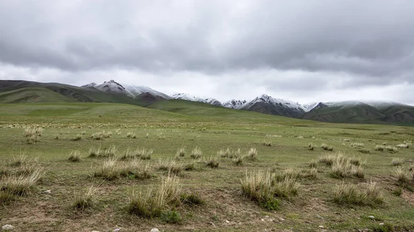 Grassland with snow covered mountain peaks on the horizon against a cloudy sky. Travel Kyrgyzstan — Stock Photo, Image