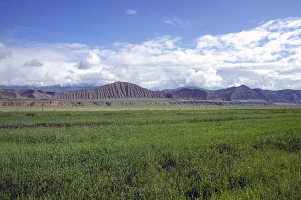 Green fields with mountain ranges on the horizon against the sky with clouds — Stock Photo, Image