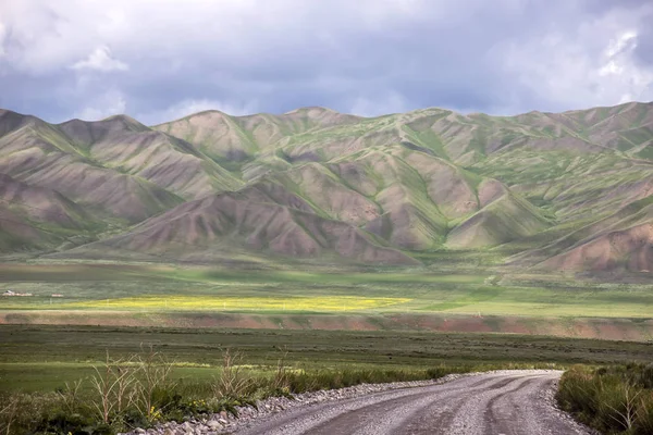 Gravel road between flowering fields and picturesque mountain ranges on the horizon. Kyrgyzstan Naryn region — Stock Photo, Image