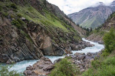 Bir dağ Gorge akan Naryn Nehri görünümü