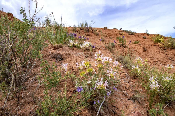 Ön planda çiçeklerle bulutlu bir gökyüzüne karşı geçit Peri Masalı çok renkli dağlar.