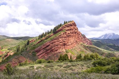 Kırgızistan'da Jety Oğuz geçidinde iğne yapraklı ormanlarla kaplı dağ sıralarının görünümü