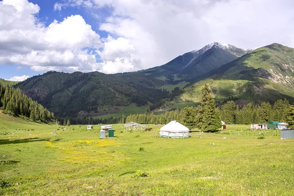 Kyrgyz nomad village on jailoo against a mountain range with snowy peaks and cloudy sky — Stock Photo, Image