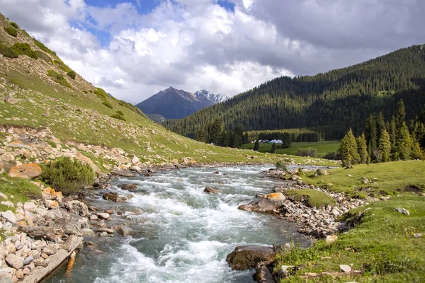Bulutlu bir gökyüzüne karşı iğne yapraklı orman ile kaplı tepeler arasında dağ nehri