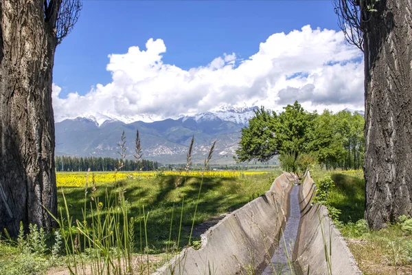 Aryk con agua entre árboles y campos agrícolas contra el telón de fondo de las montañas y el cielo con nubes . — Foto de Stock