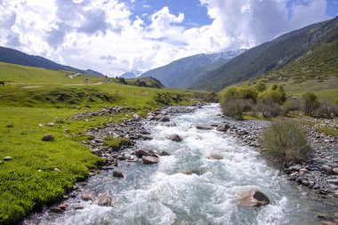 Dağ nehri bulutlu bir gökyüzüne karşı orman kaplı tepeler arasında yeşil bir vadi boyunca akan.
