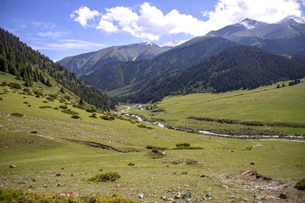 Río de montaña que fluye a través de un valle verde entre colinas cubiertas de bosque contra un cielo nublado . — Foto de Stock