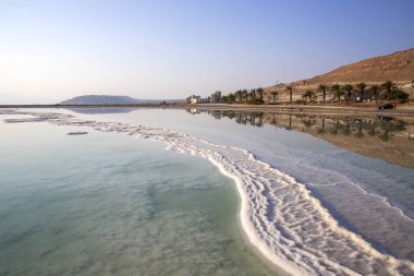 Ölü Deniz 'in sularındaki dağların ve palmiye ağaçlarının yansıması. Tuz oluşumlarıyla.