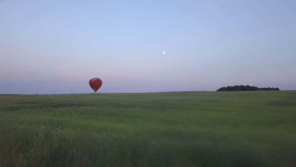 Kırmızı Hava Balon Gökyüzünde — Stok video