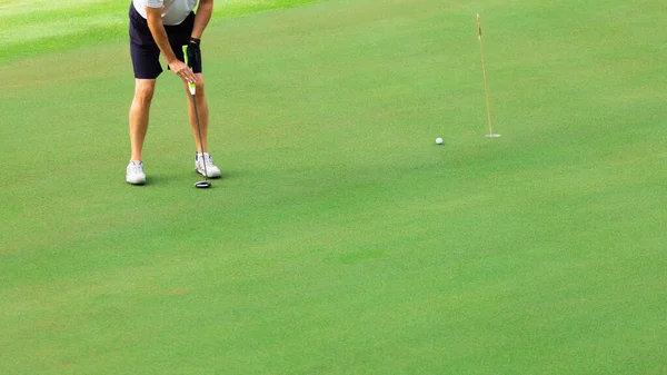 Golfer putting golf ball on the green golf,