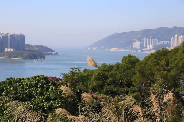 Hong Kong, Tsing Yi 'de kıyı manzarası