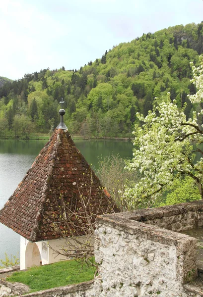lake Bled, Slovenya, kırsal manzara