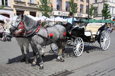 Krakow, Polonya - 31 Mayıs: Mayıs 31, 2008 Krakow, Polonya krakow meydanında. en büyük Pazar Meydanı Avrupa ve unesco dünya mirası olduğunu.