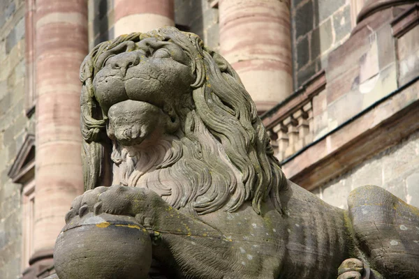 Historic Guardian Lion Medieval Centre Kassel Germany — Stock Photo, Image