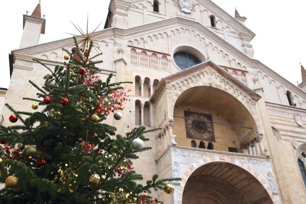 Julgran Katedralen Verona Italien — Stockfoto