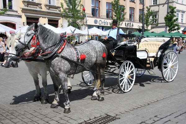 Krakow, Polonya - 31 Mayıs: Mayıs 31, 2008 Krakow, Polonya krakow meydanında. en büyük Pazar Meydanı Avrupa ve unesco dünya mirası olduğunu.