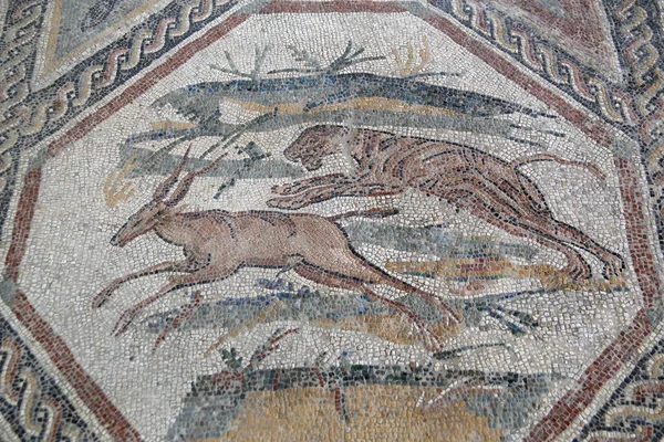 Aquileia Itálie Října 2016 Starověká Mozaika Římských Zřícenin Října 2016 — Stock fotografie
