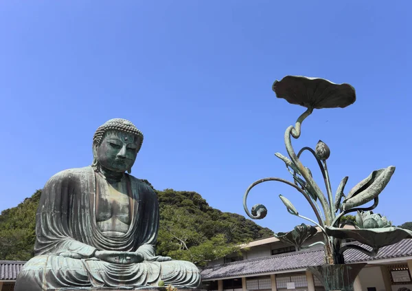 Buda Kamakura Hito Japón —  Fotos de Stock