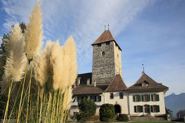 Medeltida Slott Vid Thunsjön Schweiz — Stockfoto