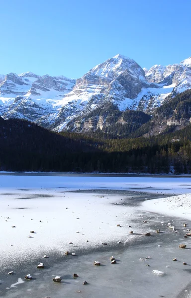 Fryst Alpine Lake Tovel Dolomiterna Italien — Stockfoto