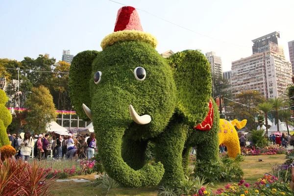 Flower Show Hong Kong Med Elefant Design — Stockfoto